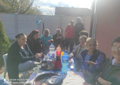 Живот на маргини: Положај старијих Ромкиња у локалној заједници – случај Града Шапца