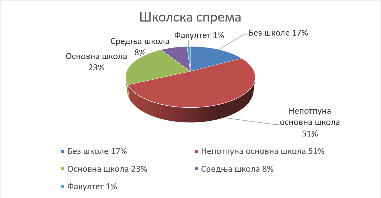 Живот на маргини: Положај старијих Ромкиња у локалној заједници – случај Града Шапца