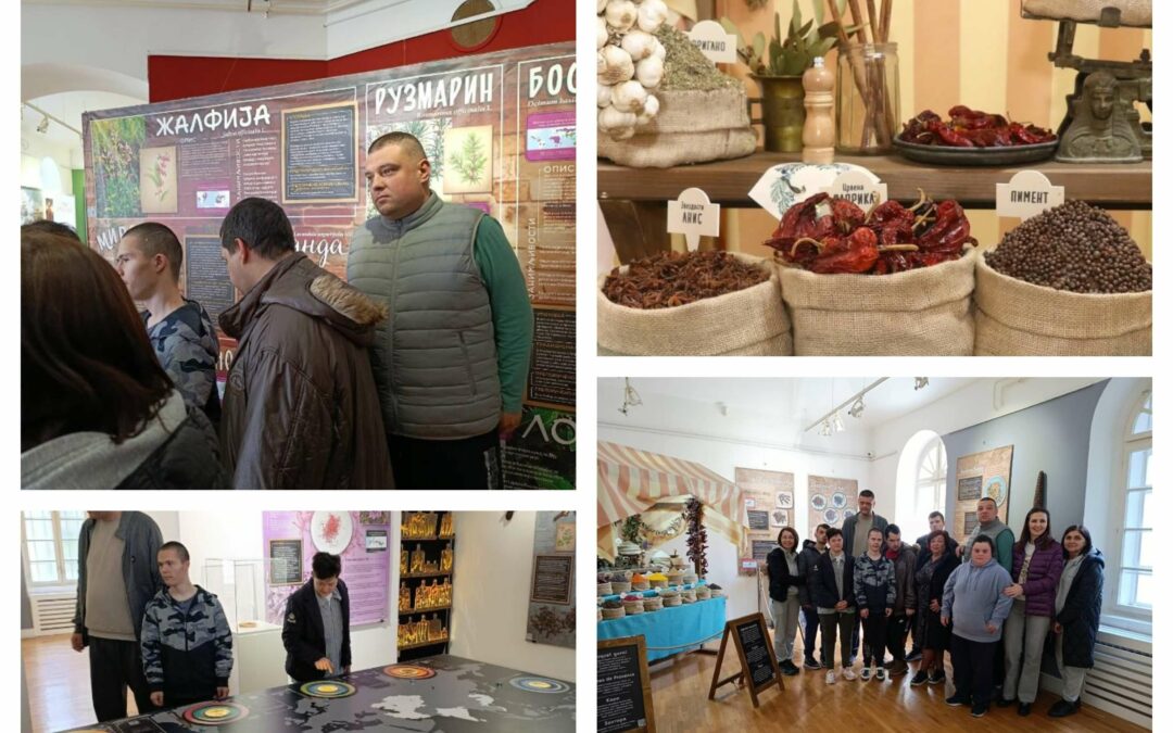 Корисници Дневног боравка у посети Народном музеју у Шапцу