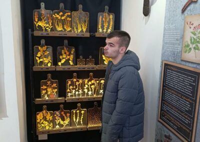 Корисници Дневног боравка у посети Народном музеју у Шапцу